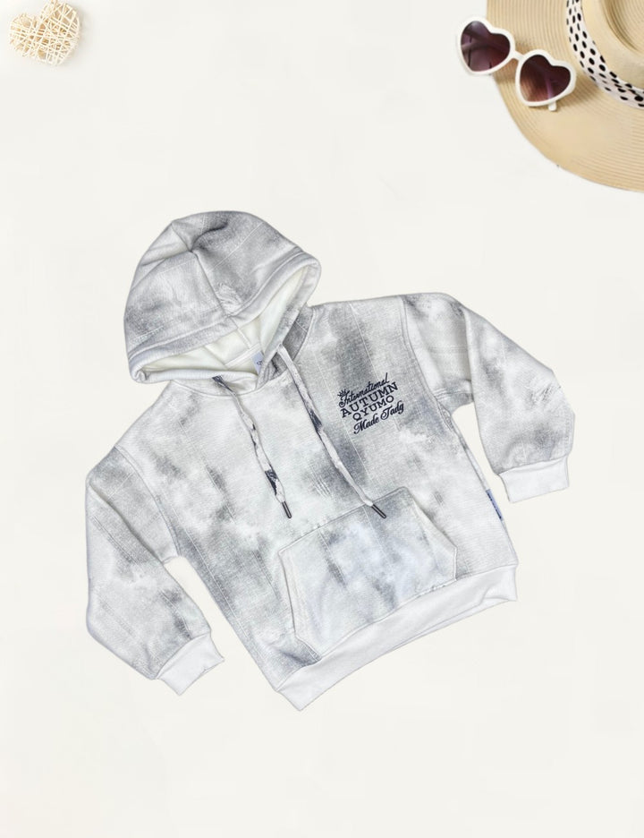 Boys Imported Hooded Sweatshirt [BT-562] [5 - 11 Years]