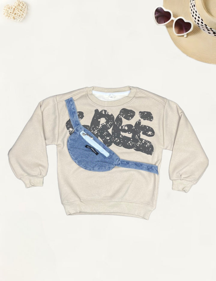 Boys Imported Sweatshirt [BT-754] [2 - 6Years]