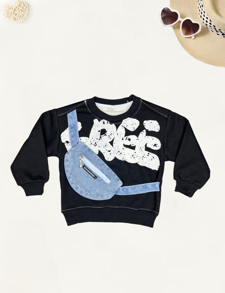 Boys Imported Sweatshirt [BT-569] [2 - 6Years]