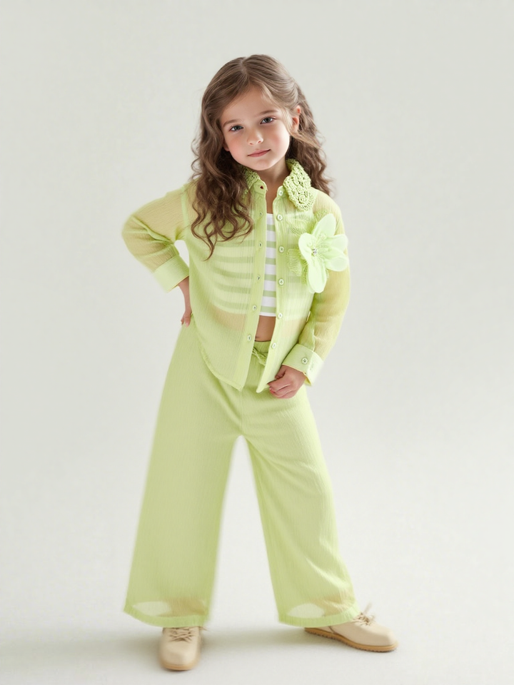 Girl's 3 Peice Party Wear Co-Ord Set [GCS-6582] (5-12 Years)